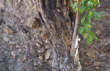 Casa de los Abuelos Albino - Foto 13