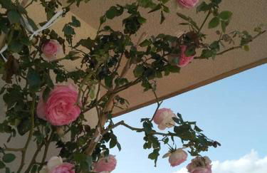 Rosso di Sera Loft - Foto 11