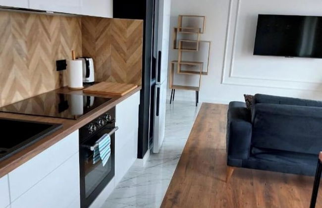 Inviting 1-bed Apartment in Lebork - Photo 1