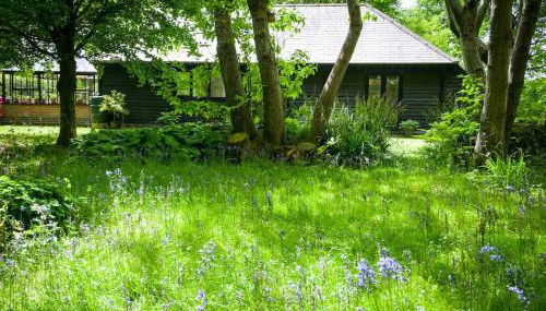 All Saints Cottage - secluded cottage with garden, 15 min walk to pub - Foto 3, Garden, Garden view