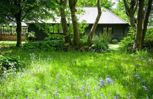All Saints Cottage - secluded cottage with garden, 15 min walk to pub - Foto 3