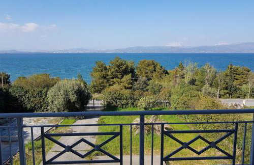 Beachfront House Villa 35min from Athens - Foto 22