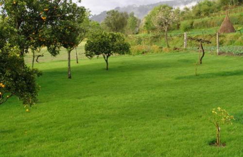 Quinta de Santa Marinha - Foto 23