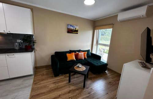 Apartamenty pod Szczęśliwym Koniem - Foto 14