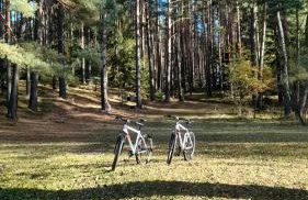 UTASIÓWKA Mazury - Photo 24