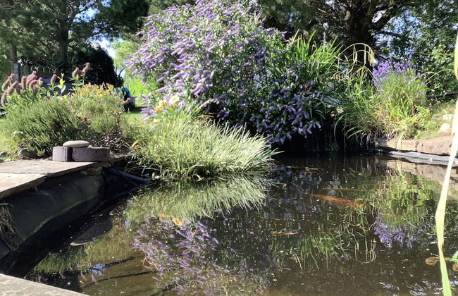 A Serene and Tranquil Escape for two - Photo 14