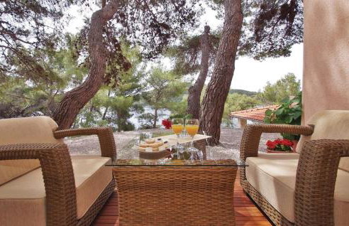 Pine Tree Apartment Zanetic - Photo 38