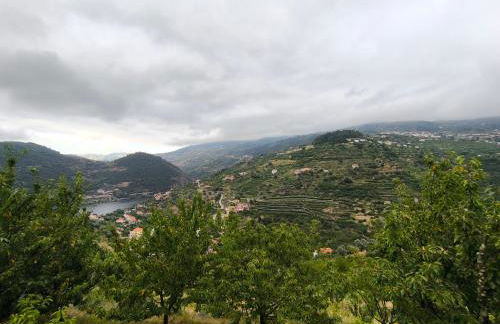 Quinta do Tojo - Foto 59