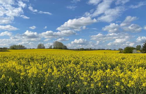 Ferienhaus Gerswalde - Photo 11