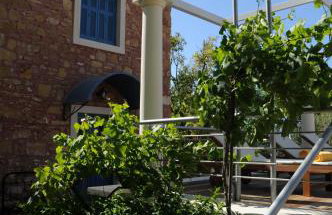 Metohi Georgila - Foto 28