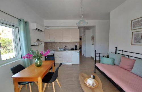 Dimitra's Apartments 4 klm away from Chora - Foto 19