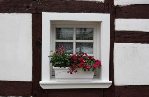 Gemütliche Fachwerkwohnung - Foto 48