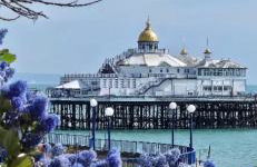 Garden flat in 'Little Chelsea' - Foto 23