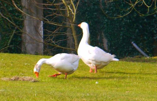 Burton Farmhouse - Foto 23