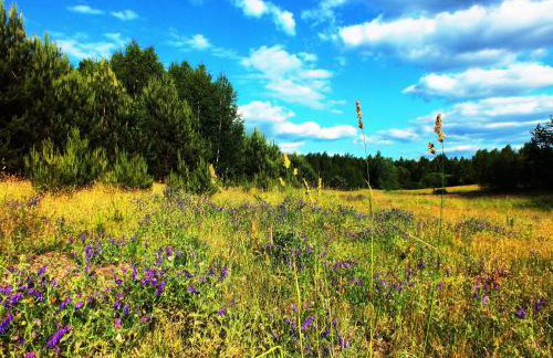 Sumówko Leśne Siedlisko - Foto 26