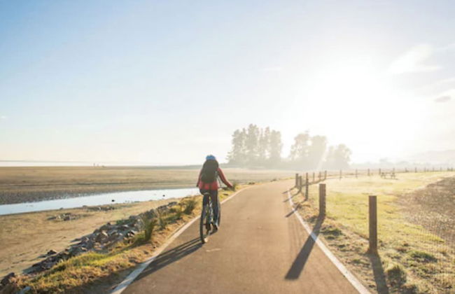 Tahuna Beach Holiday Park - Foto 76