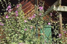 Le Chalet Fiolant - Foto 15