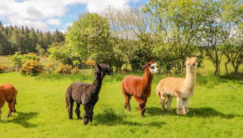 Moorgair Cottage - Foto 4