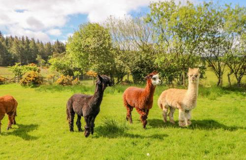 Moorgair Cottage - Foto 4