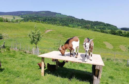 Haus Monika - Foto 15