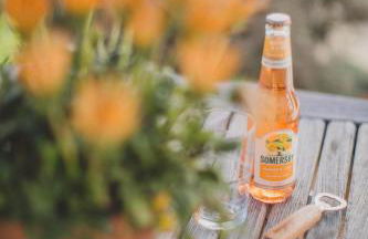 Viereinhalb Eichen - Ferienwohnung am Niederrhein - Foto 33