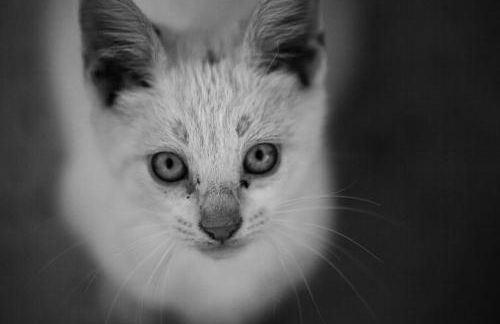 Casas da Fraga - Serra da Estrela - Foto 18