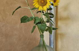 Ferienapartment Wilma - Foto 37