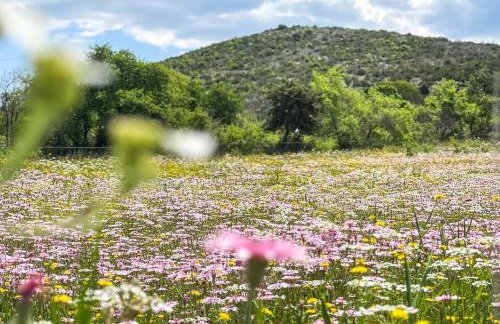 Villa Toni by BOTANICA Traditional stone house - Foto 2