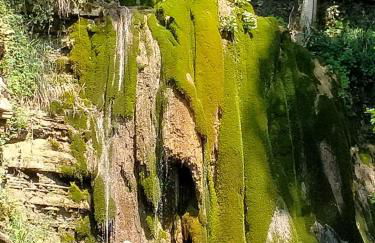 Alloggio Petrigh - Photo 19