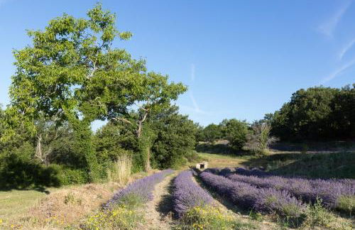 Domaine de L'Essentiel de Lavande - Foto 29