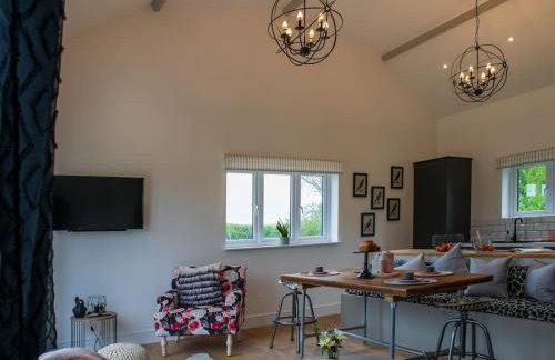 Luxury Barn Conversion with Hot Tub- 'Blackbird' - Foto 8