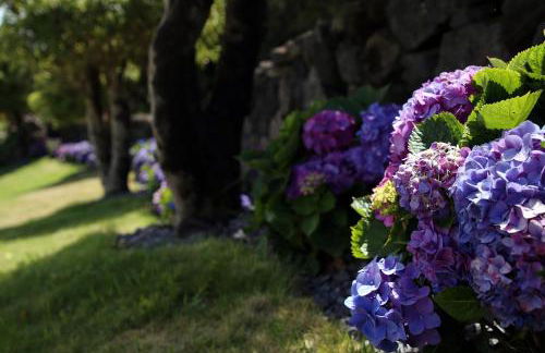 Villa Capelinhos - Foto 39