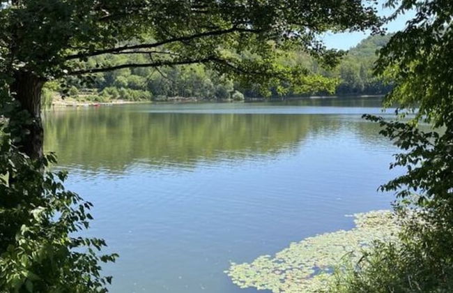 Haus Mariechen Comfortable Holiday Residence - Foto 15