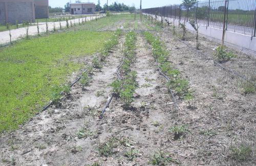 Kryoneri village - Photo 31