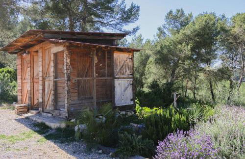 Masia Pou de la Vinya - Photo 52