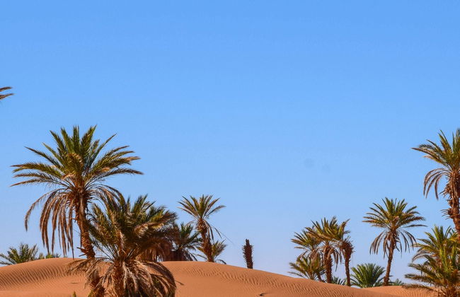 2-Day Zagora Desert Trip - Photo 1