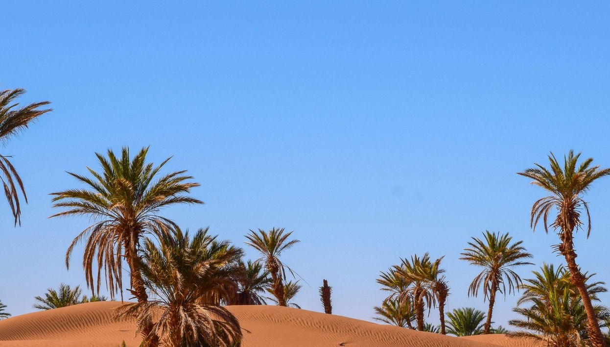 2-Day Zagora Desert Trip