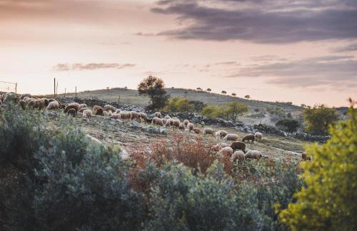 Recanto d'Aldeia - Foto 21