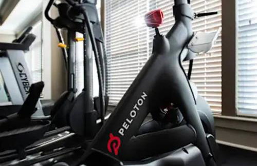 Stylish Modern Queen Suite Parking Pet Friendly - Foto 34