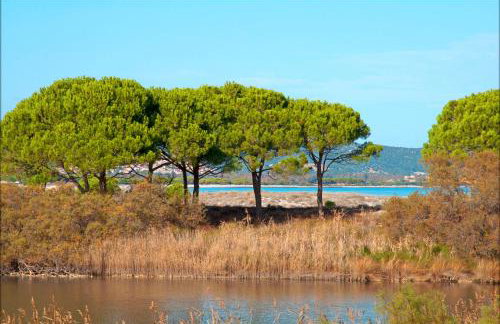 Appartamenti Le Magnolie - Foto 42