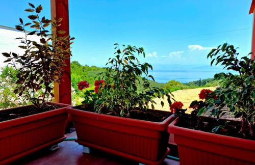 Andreas' Guest House - Foto 28