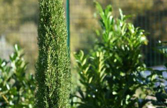 Alla Posta Mini Appartamento - Foto 23