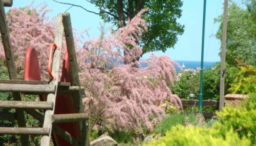 Haus Schneewittchen - Photo 3, Garden