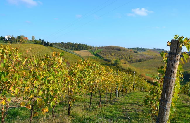 Belvilla by OYO Primula - Foto 39