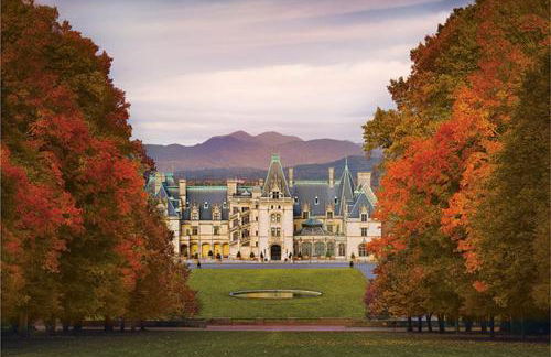 Nomad Retreat Pet-Friendly, Hot Tub & Mountain View - Foto 37