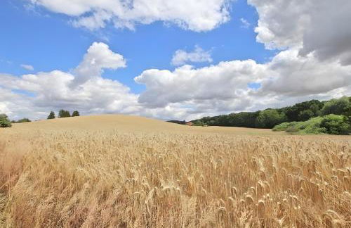 Zur Schwalbe - Photo 37