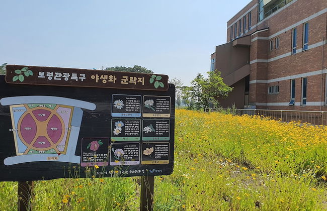 Haha Pension - Foto 51