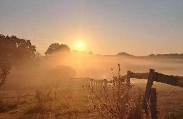 Großes Familienapartment über 2 Etagen mit Weitblick in die Natur - Foto 9