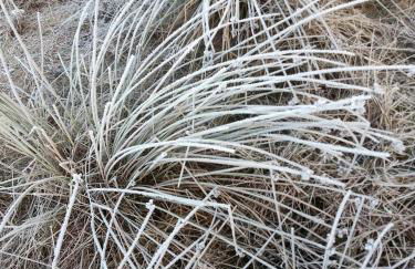 Ferienwohnung Zimt und Zucker - Foto 25