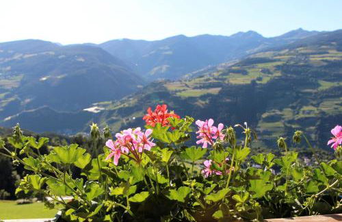 Spisserhof - Photo 2